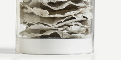 Paper Sculpture Domes